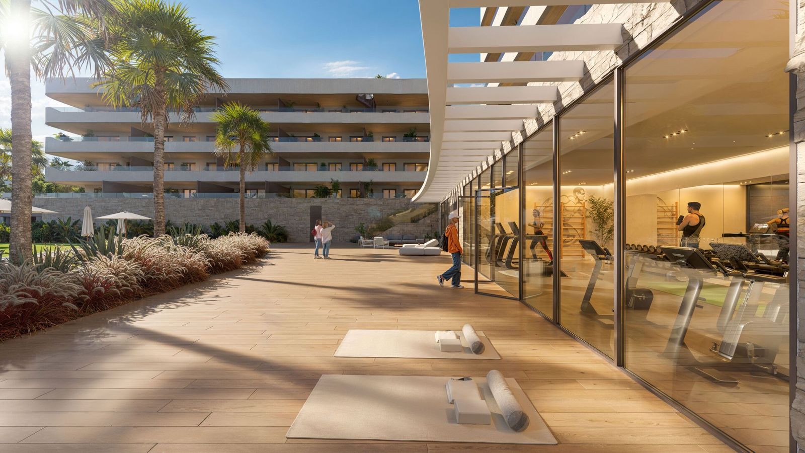 12 modern gym outdoor patio palm trees